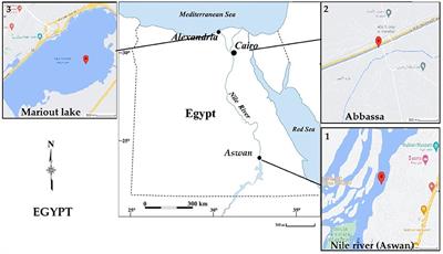 Genotoxicity and Trace Elements Contents Analysis in Nile Tilapia (Oreochromis niloticus) Indicated the Levels of Aquatic Contamination at Three Egyptian Areas